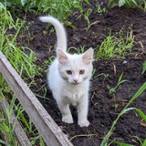 Telegram profile photo for Приколы про животных