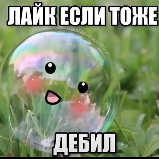Telegram profile photo for даша холод (максюта крутой)