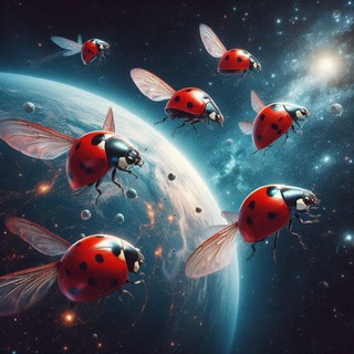 Telegram profile photo for 上新资源频道东北人嫖向全宇宙沈阳大连哈尔滨