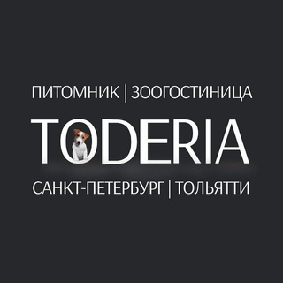 Telegram profile photo for TODERIA Джек Рассел, МейнКун, Зоогостиница