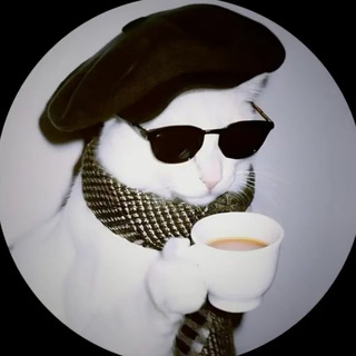 Telegram profile photo for Meme Mischief’s