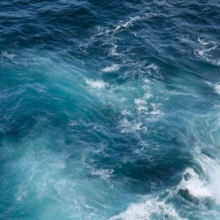 Telegram profile photo for Sea