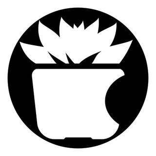 Telegram profile photo for Суккуленты от СУККУБАНДЫ