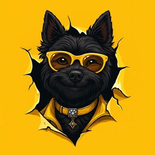 Telegram group profile photo for Terry Toto - Totonia