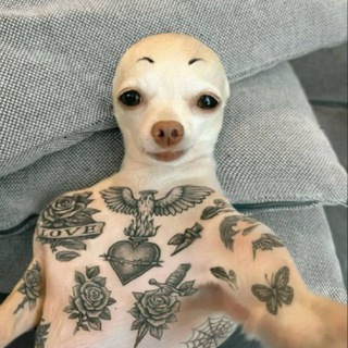 Telegram profile photo for Киряс