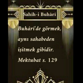 Telegram profile photo for Sahîh-i Buhârî (Yusuf Selami Hoca)