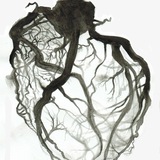 Telegram profile photo for Endovascular.team
