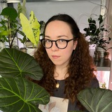 Telegram profile photo for ☘️Пятый угол| Дневник о растениях ☘️