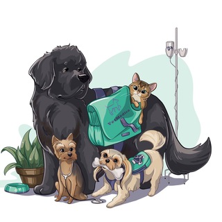 Telegram profile photo for VetMedica |Воронеж|