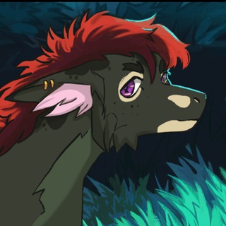 Telegram profile photo for Floriada 18+