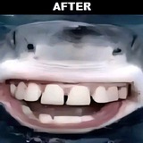 Telegram profile photo for этот тгк брошен
