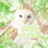 Telegram profile photo for 𝗈֗𝓌𝗅𝗌 ʗ֗ℴ𝗇𝖿𝖾s֗𝗌𝗂ℴ𝗇 + 𝖽֗𝒶𝗂𝗅𝓎🦉