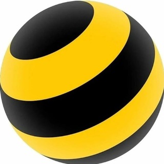 Telegram profile photo for beelineopros
