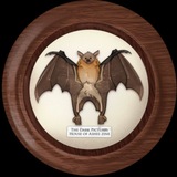 Telegram profile photo for House of Ashes zine | wmg zines