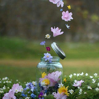 Telegram profile photo for گردشگری پرستاران تهران