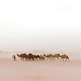 Telegram profile photo for رَكْب