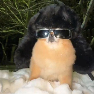 Telegram profile photo for "Когда грусть становится Музыкой"