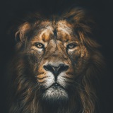 Telegram profile photo for Записки спекулянта