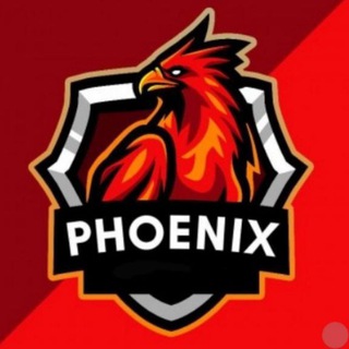 Telegram group profile photo for Phoenix Calls