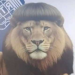 Telegram profile photo for боберность