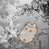 Telegram profile photo for <2 недели шипов > Ayaru Ayaki || тгк