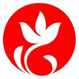 Telegram profile photo for Вяснянка 98%