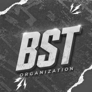 Telegram profile photo for BST ORGANIZATION