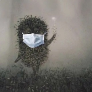 Telegram profile photo for Ёжик в тумане 🦔
