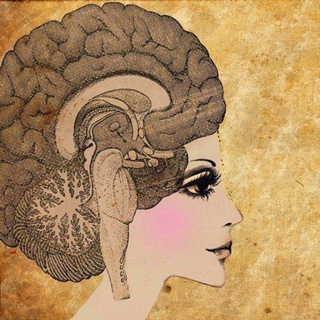 Telegram profile photo for NeuroPsychology