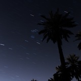 Telegram profile photo for ...The Night Life...