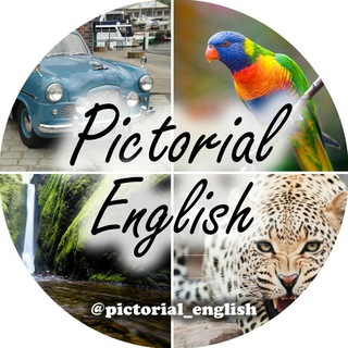 Telegram profile photo for 💥Pictorial English💥