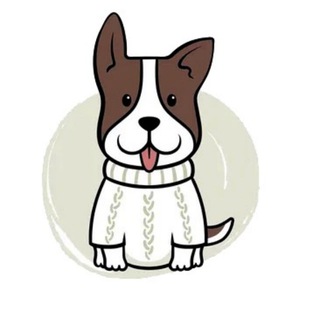Telegram profile photo for 🐶 ArnyDog | Одежда и аксессуары для собак 🐾