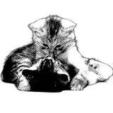Telegram profile photo for что-то хорошее