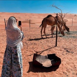 Telegram profile photo for هّـجّـنِᥫ᭡.