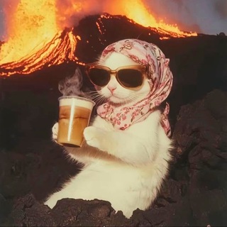 Telegram profile photo for Будка Ксинакса