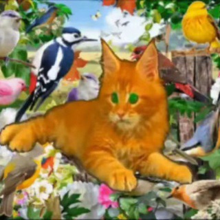 Telegram profile photo for МакроАЛЪ🫡
