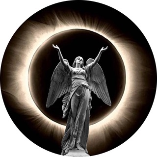 Telegram profile photo for Все свободны