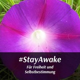 Telegram profile photo for StayAwake Sammelsurium