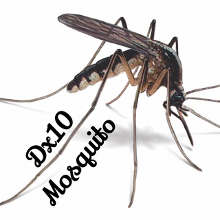 Telegram profile photo for |Dx10| Mosquito Like+Comment