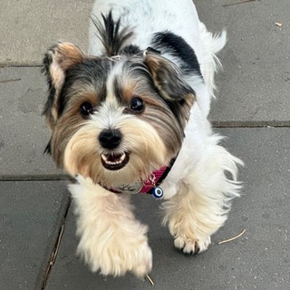 Telegram profile photo for ХПГ — архив