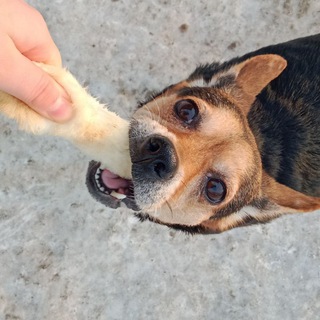 Telegram profile photo for Боня и Мика