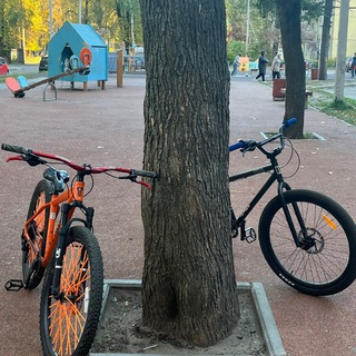 Telegram profile photo for OneWheelStant