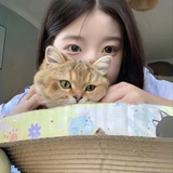 Telegram profile photo for 悸动FB发帖群🖇️