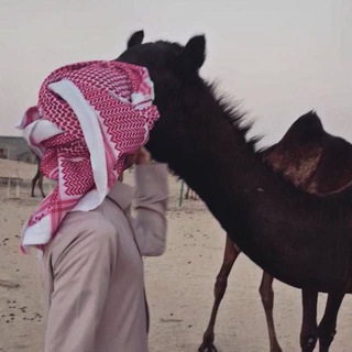 Telegram profile photo for هوآجيـَـس ₉₁₂ . .