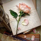 Telegram profile photo for стихи confessions