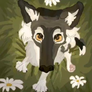 Telegram profile photo for Уголок наблюдателя