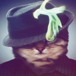 Telegram profile photo for shadow