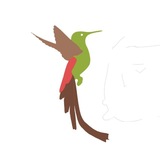 Telegram profile photo for La Biblioteca del Naturalista 🐧
