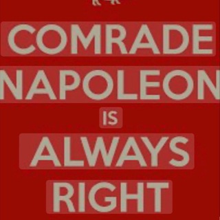Telegram profile photo for Comrade Napoleon’s Channel