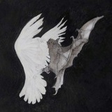Telegram profile photo for тётя Рем или дядя...